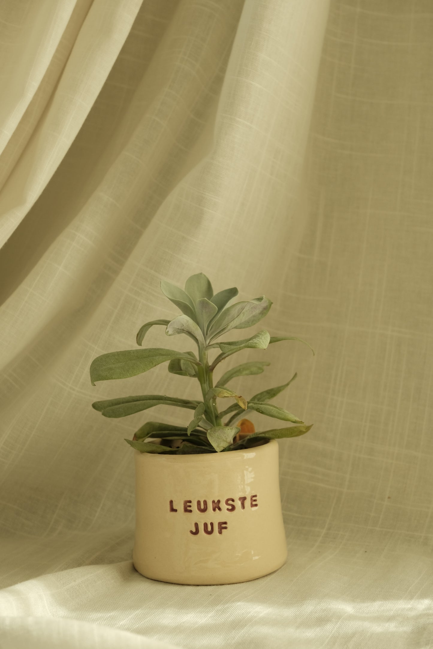 Koffietas "leukste juf"