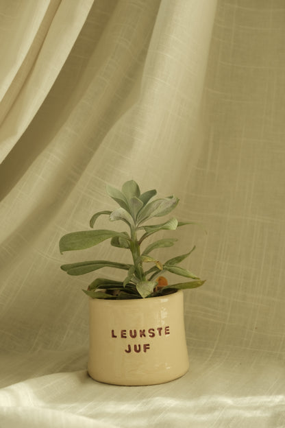 Koffietas "leukste juf"